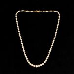 973 7136 PEARL NECKLACE